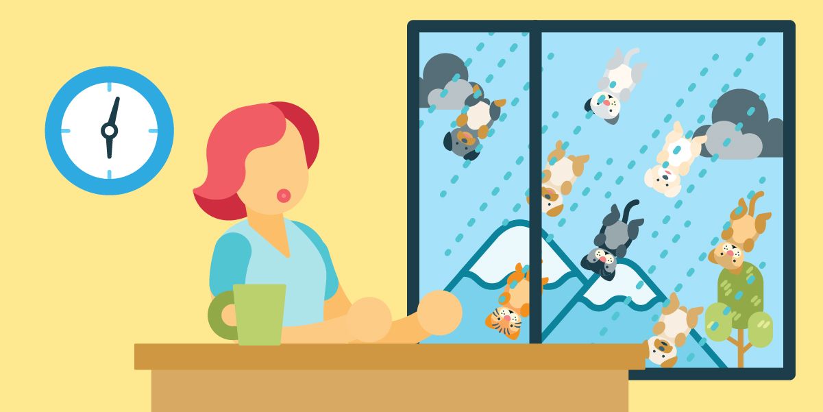 How did the phrase 'it's raining cats and dogs' originate?